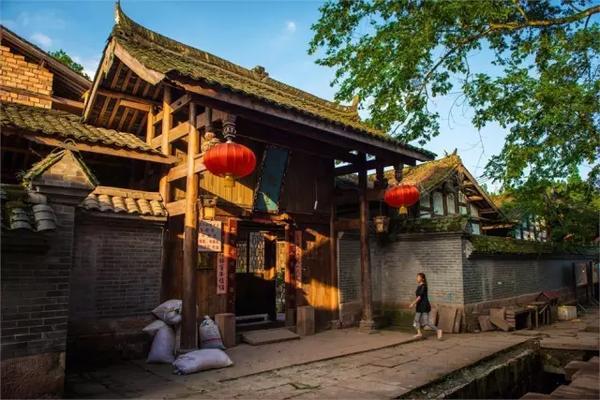 哥伦比亚山火持续一周:超2.5万公顷土地被烧焦 政府请求国际援助